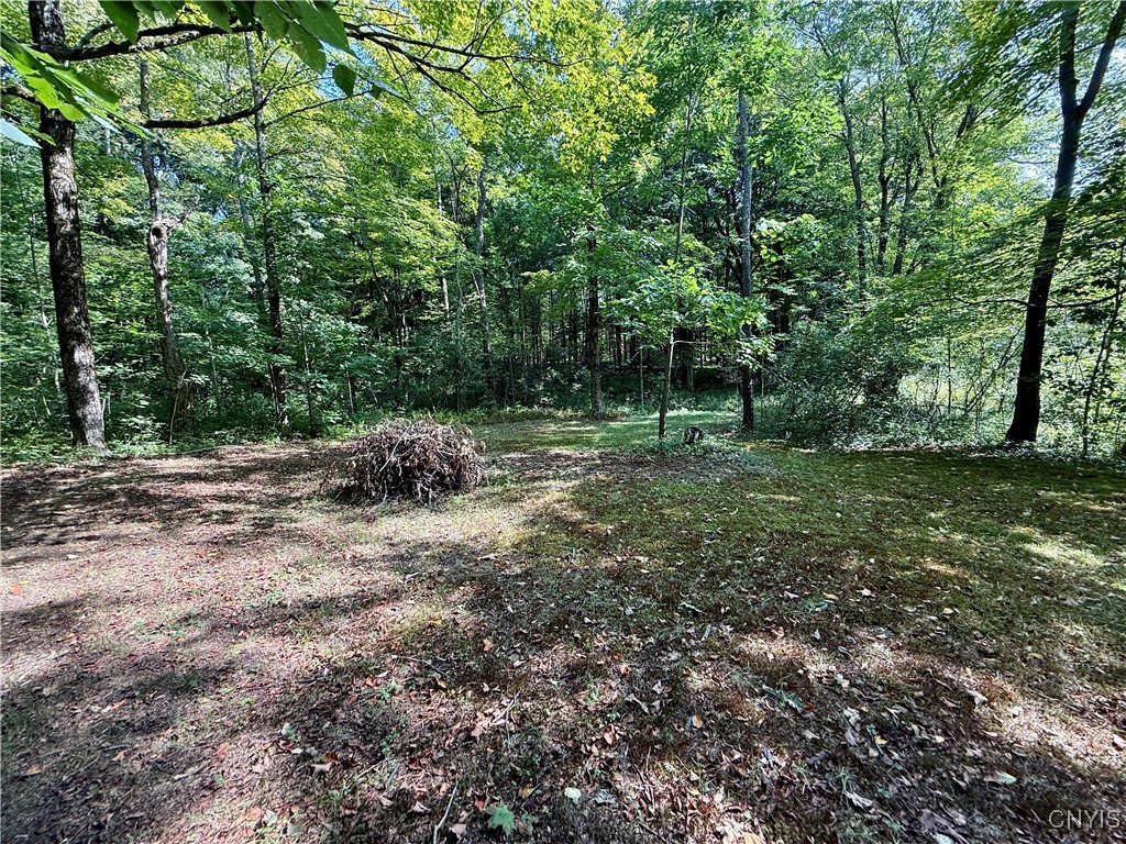 2888 County Rte 17 Williamstown, NY 13493 - Photo 7 of 22