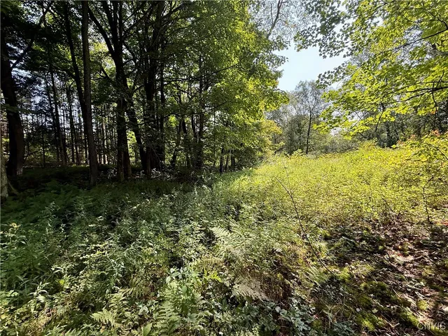 $119,900 | 2888 County Rte 17, Williamstown, NY 13493