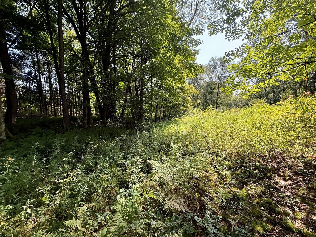 2888 County Rte 17 Williamstown, NY 13493 - Photo 8 of 22