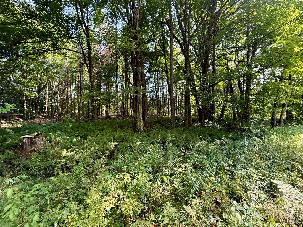 2888 County Rte 17 Williamstown, NY 13493 - Photo 9 of 22