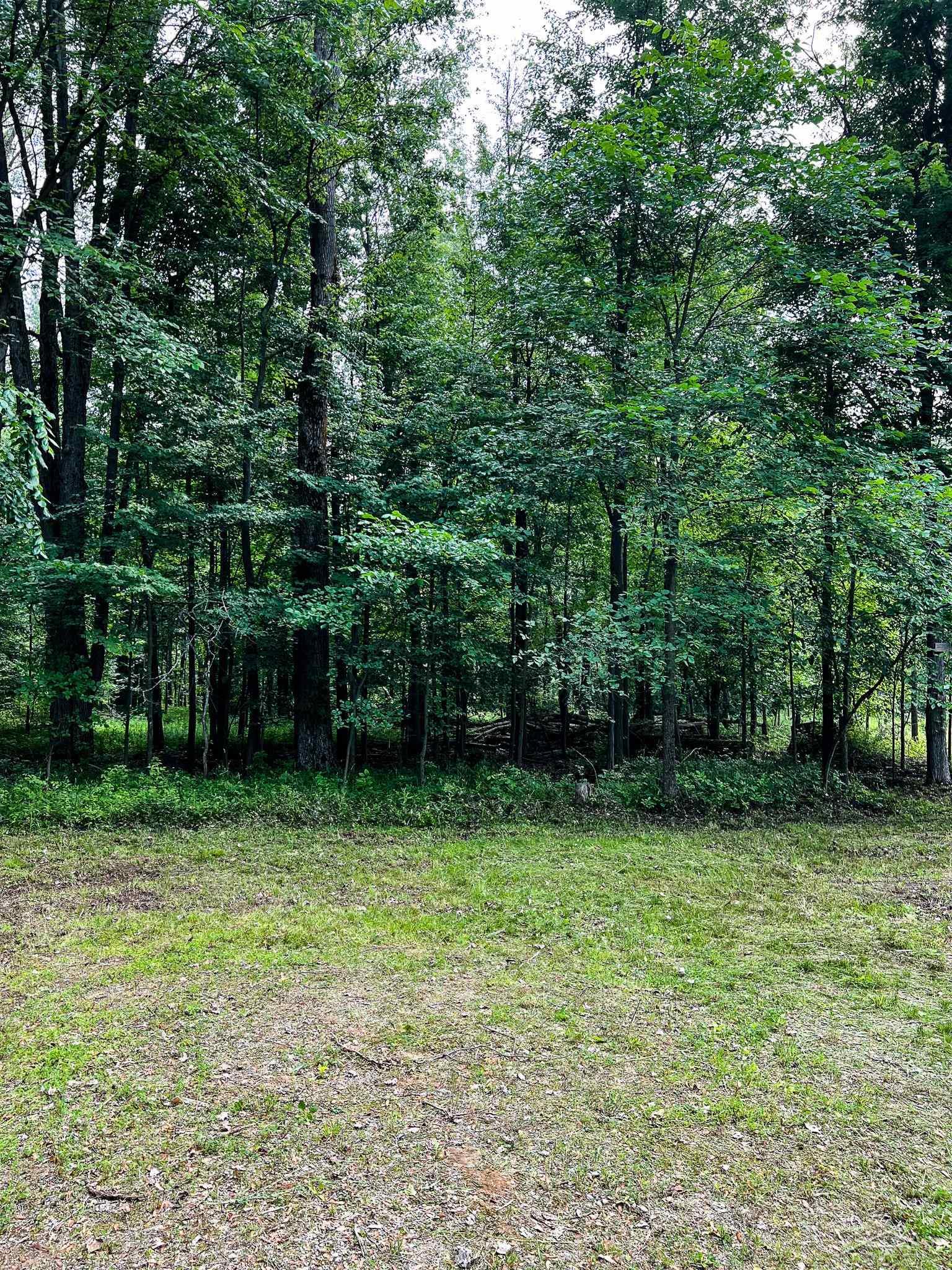 V/l East Bevens Road Caro, MI 48723 - Photo 29 of 41