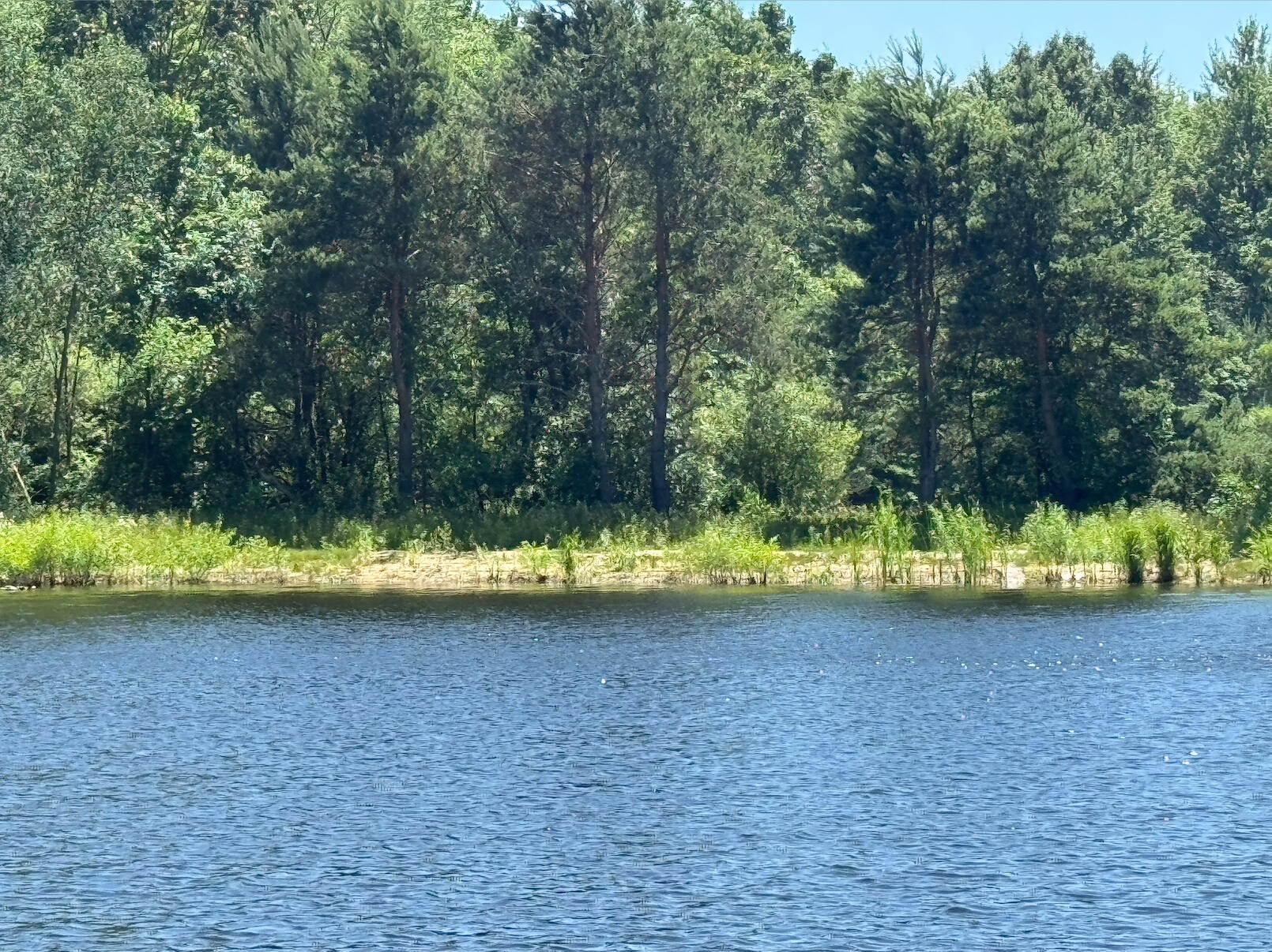 3317 East Sternberg Road Fruitport, MI 49415 - Photo 61 of 62 Pond 2