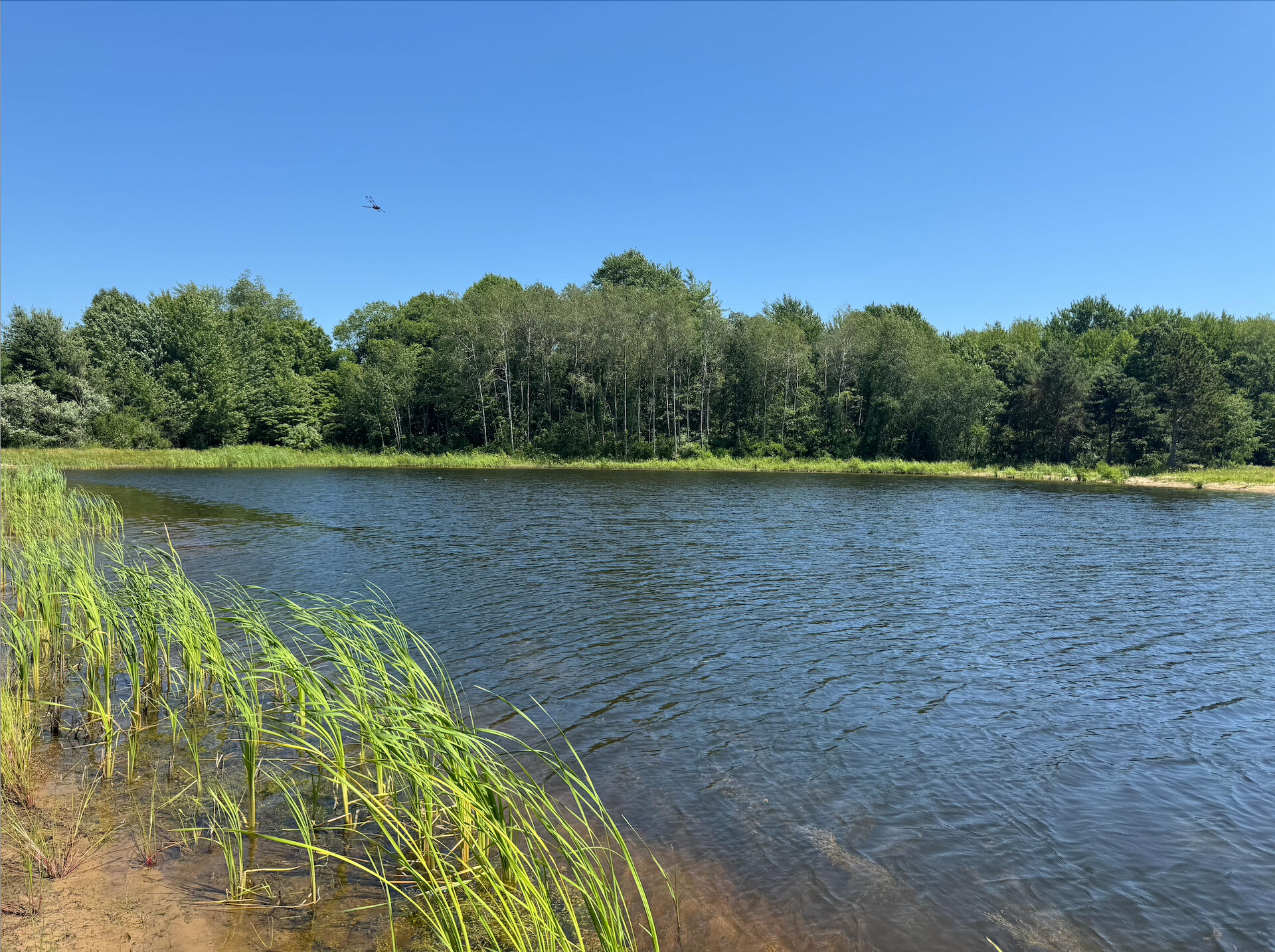3317 East Sternberg Road Fruitport, MI 49415 - Photo 62 of 62 Pond 1