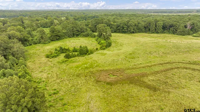 $639,200 | 435 Tenaha Tx 75974, Tenaha, TX 75974