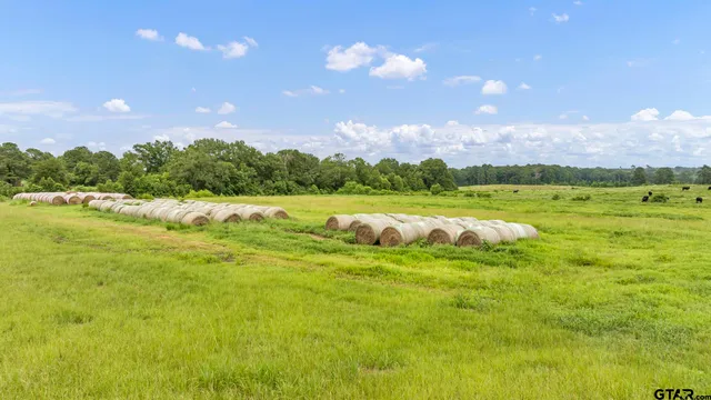 $639,200 | 435 Tenaha Tx 75974, Tenaha, TX 75974