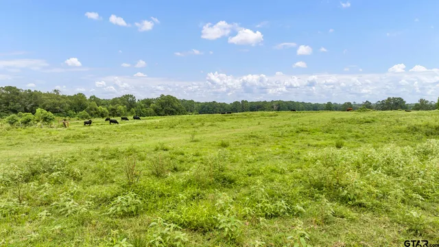 $639,200 | 435 Tenaha Tx 75974, Tenaha, TX 75974