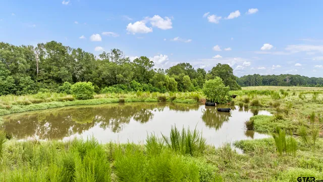 $639,200 | 435 Tenaha Tx 75974, Tenaha, TX 75974