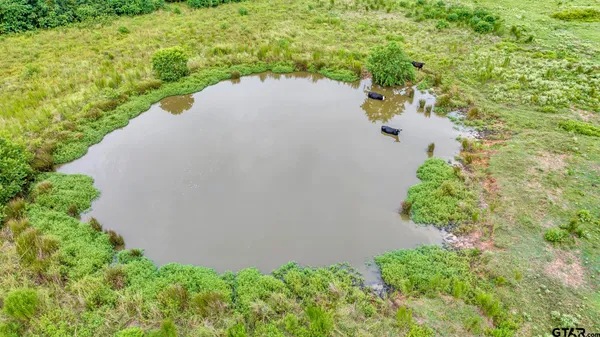 $639,200 | 435 Tenaha Tx 75974, Tenaha, TX 75974