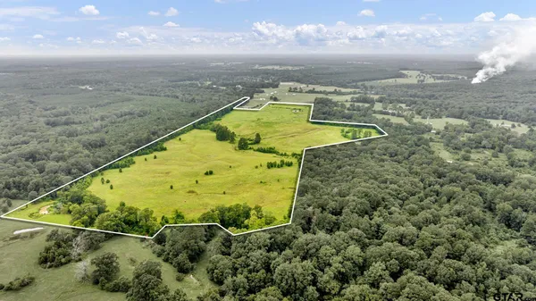 a view of a swimming pool with a yard