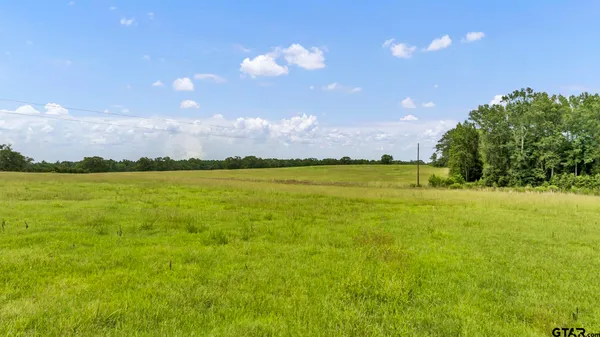 a view of an outdoor space and a yard