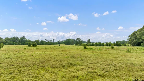 a view of an ocean and a mountain