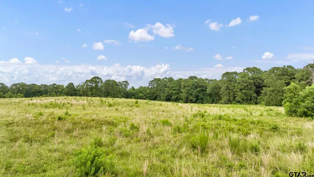 $639,200 | 435 Tenaha Tx 75974, Tenaha, TX 75974