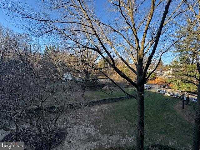 7900 Old York Road, Unit 510B Elkins Park, PA 19027 - Photo 19 of 21 a view of tree in front of a house