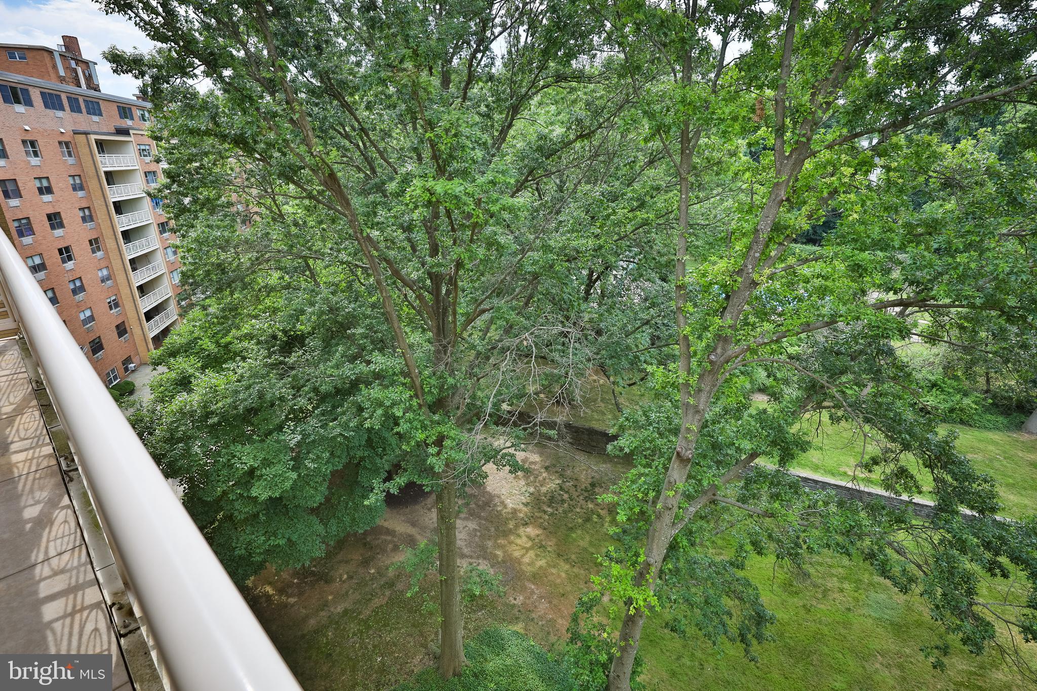 7900 Old York Road, Unit 510B Elkins Park, PA 19027 - Photo 20 of 21 a view of a forest from a balcony