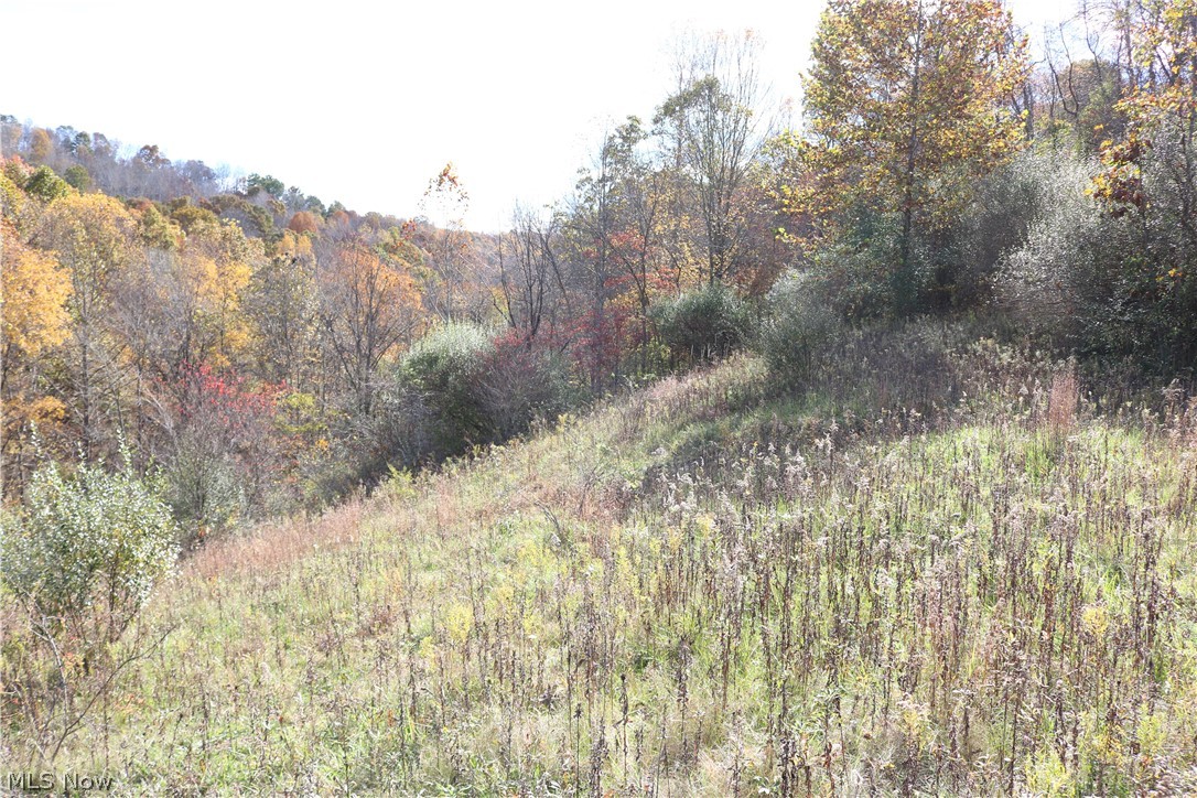 75336 Science Hill Road Newcomerstown, OH 43832 - Photo 28 of 35 Gallery Image 28