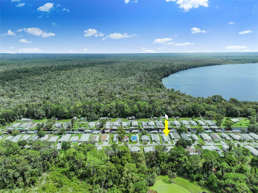 1635 Bass Avenue Seville, FL 32190 - Photo 37 of 84