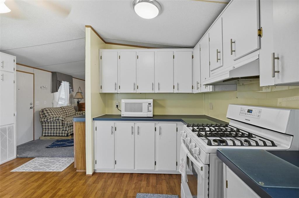 1635 Bass Avenue Seville, FL 32190 - Photo 10 of 84