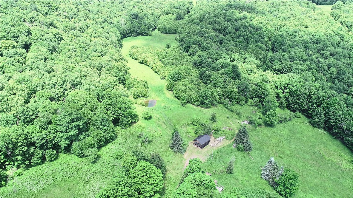 2613 Murphy Hill Road Andes, NY 13731 - Photo 32 of 35