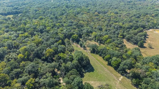 a view of a forest with a houses