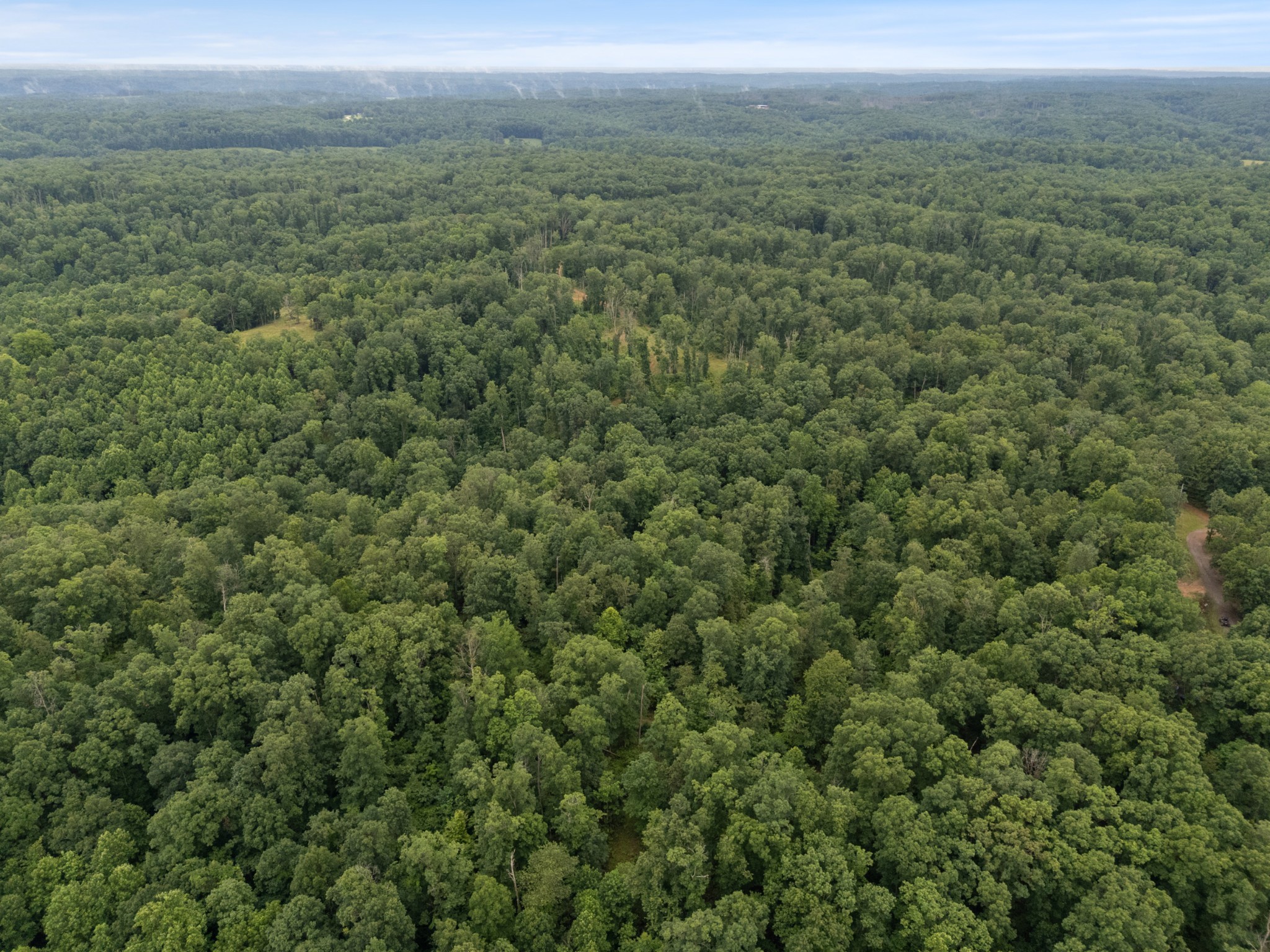 1270 North Buchanan Road Waverly, TN 37185 - Photo 13 of 19