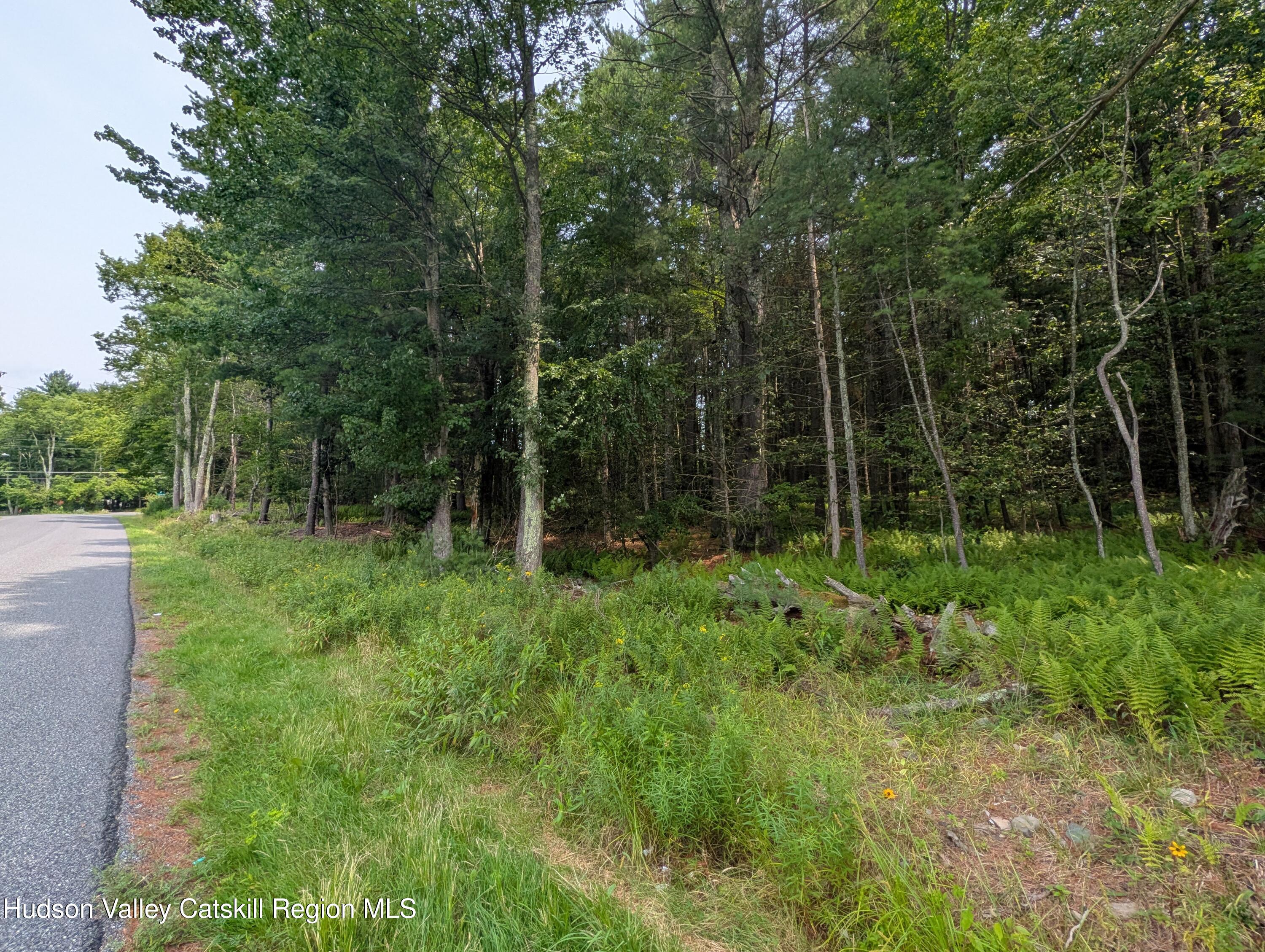 Harris - Friedman road