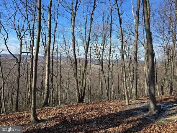 a view of outdoor space with water fountain
