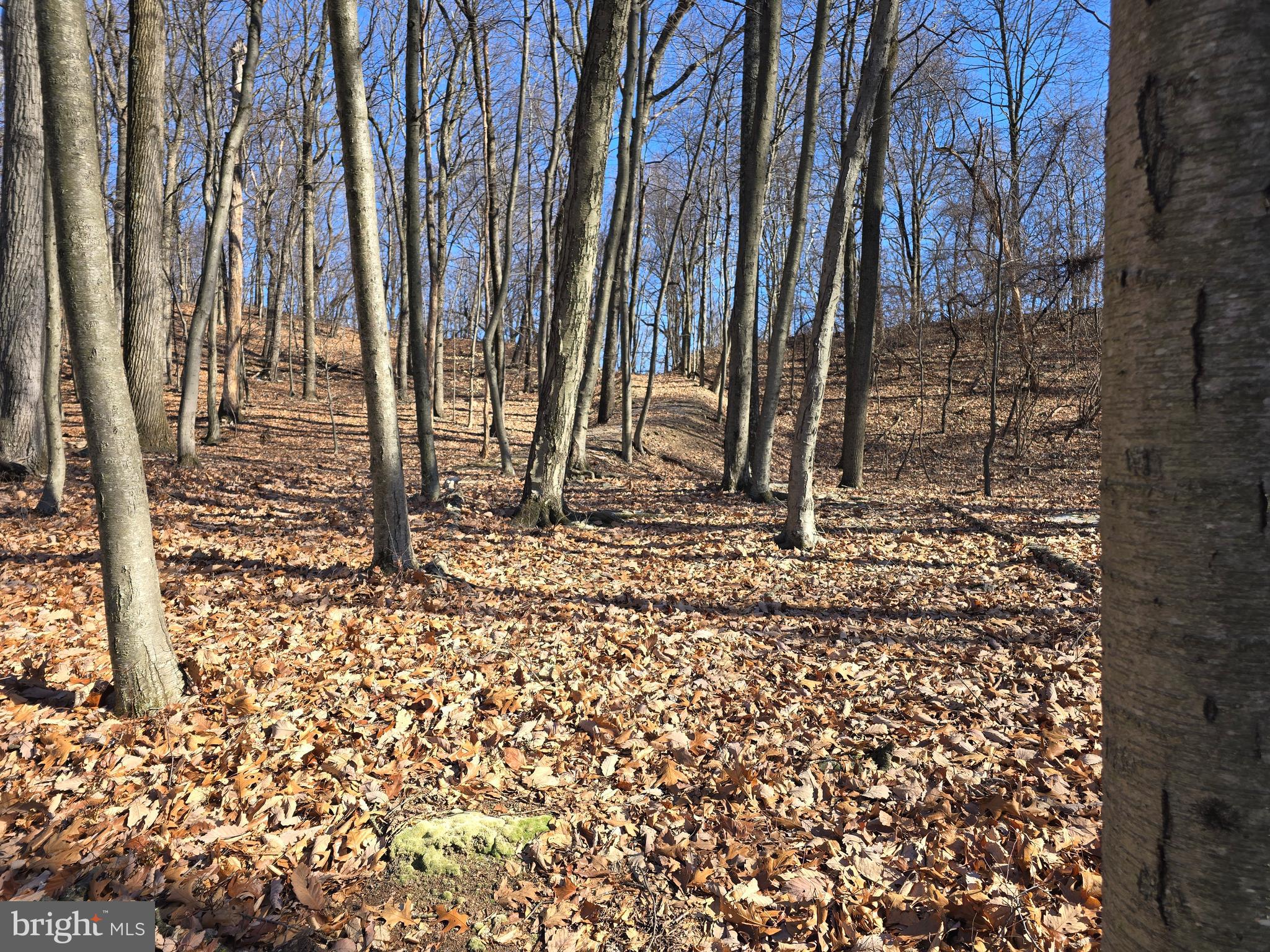 0 Hill Road Boyertown, PA 19512 - Photo 15 of 29 a backyard of a house with lots of green space