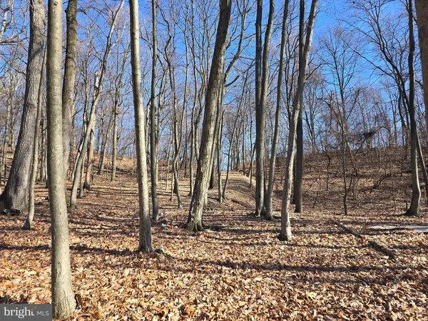 a view of outdoor space