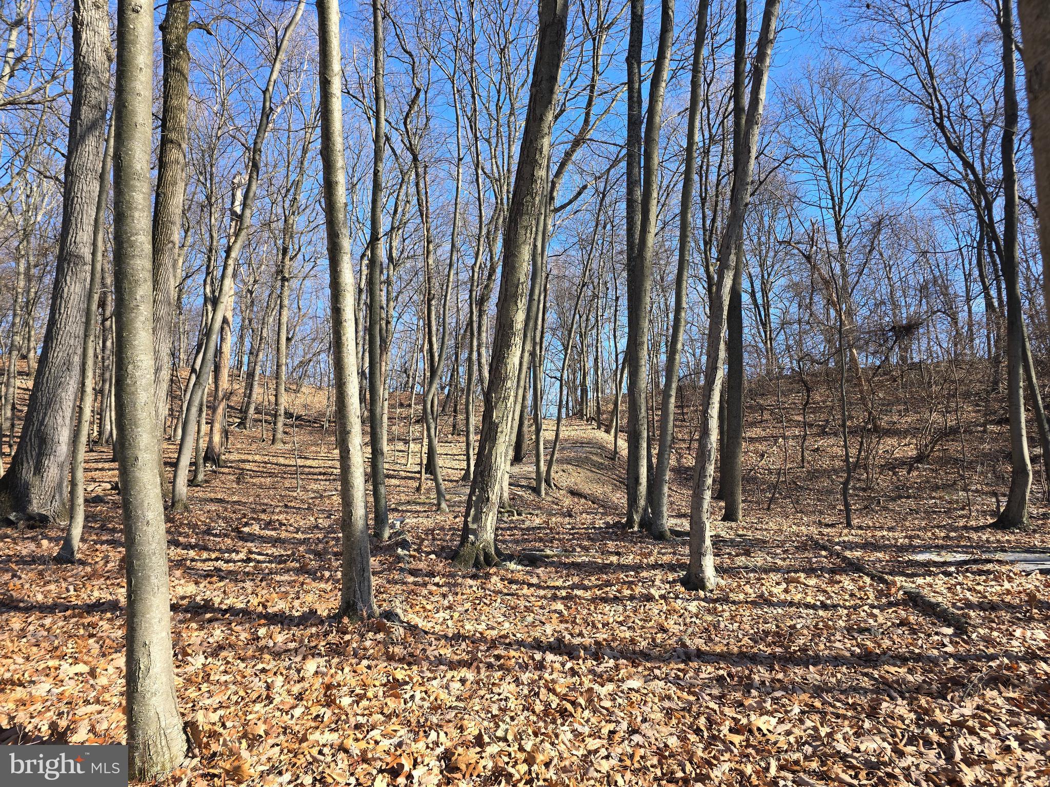 0 Hill Road Boyertown, PA 19512 - Photo 16 of 29 a backyard of a house with lots of green space