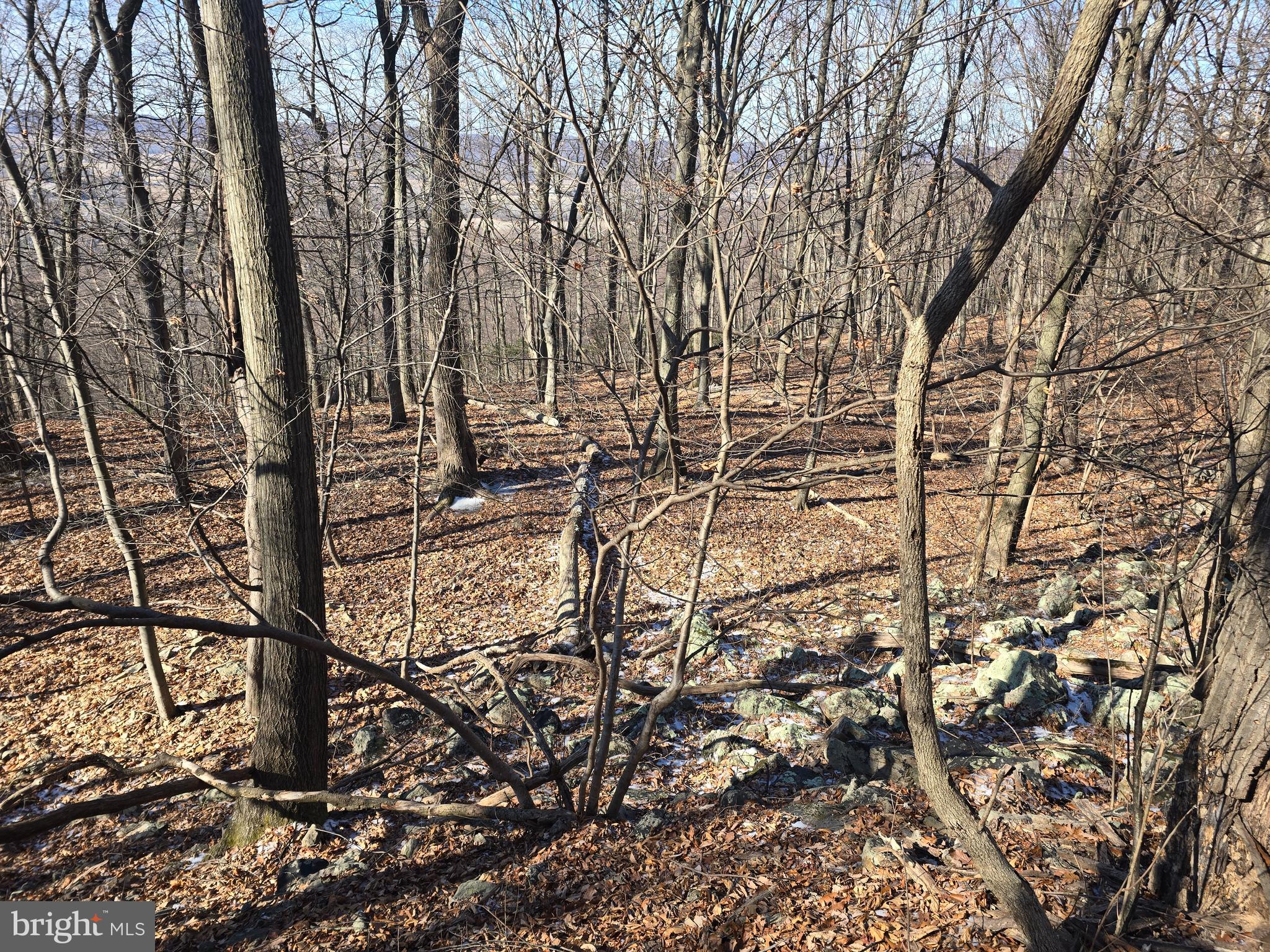 0 Hill Road Boyertown, PA 19512 - Photo 17 of 29 a view of outdoor space