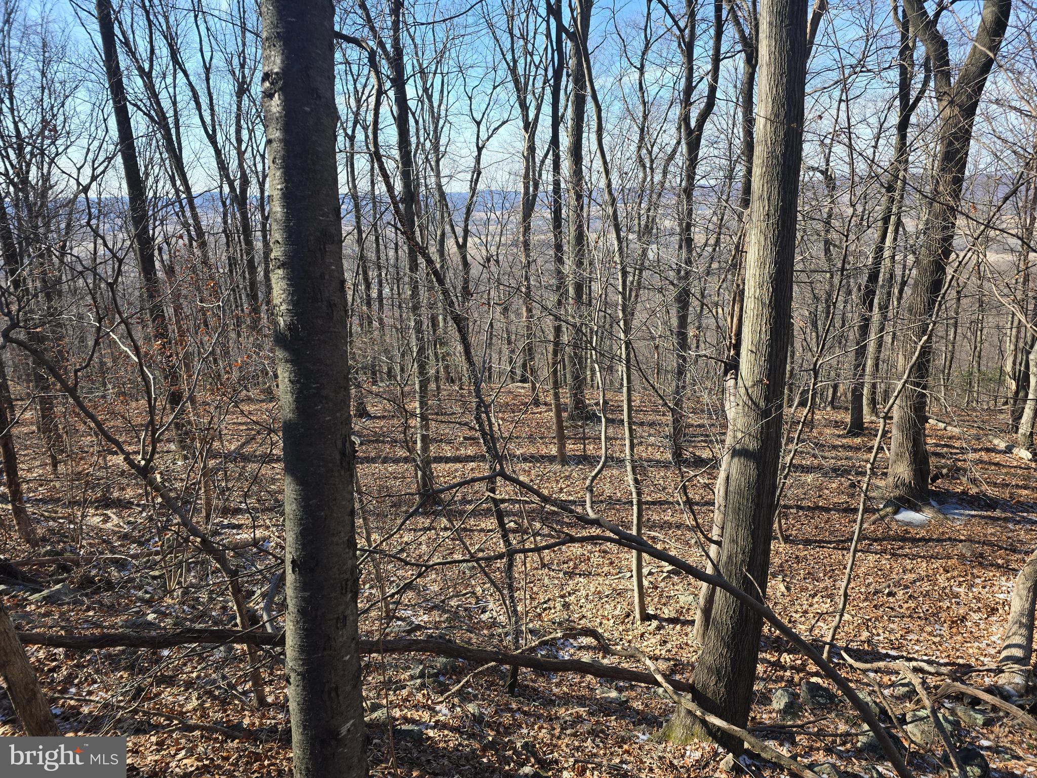 0 Hill Road Boyertown, PA 19512 - Photo 18 of 29