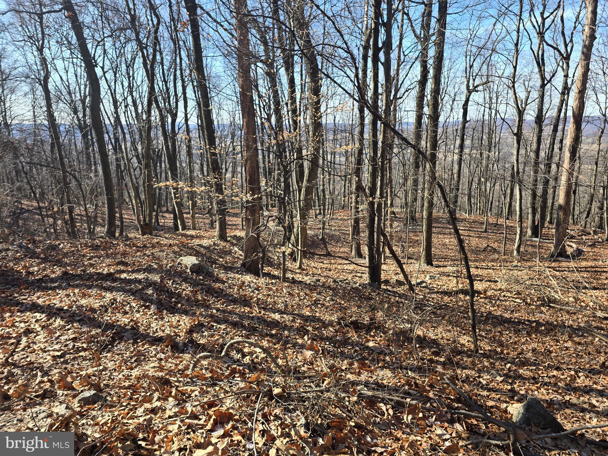0 Hill Road Boyertown, PA 19512 - Photo 20 of 29 a view of outdoor space with lots of trees