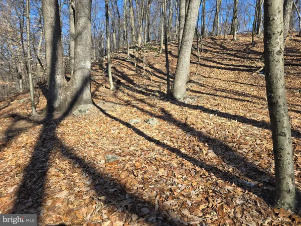 a view of a backyard of the house