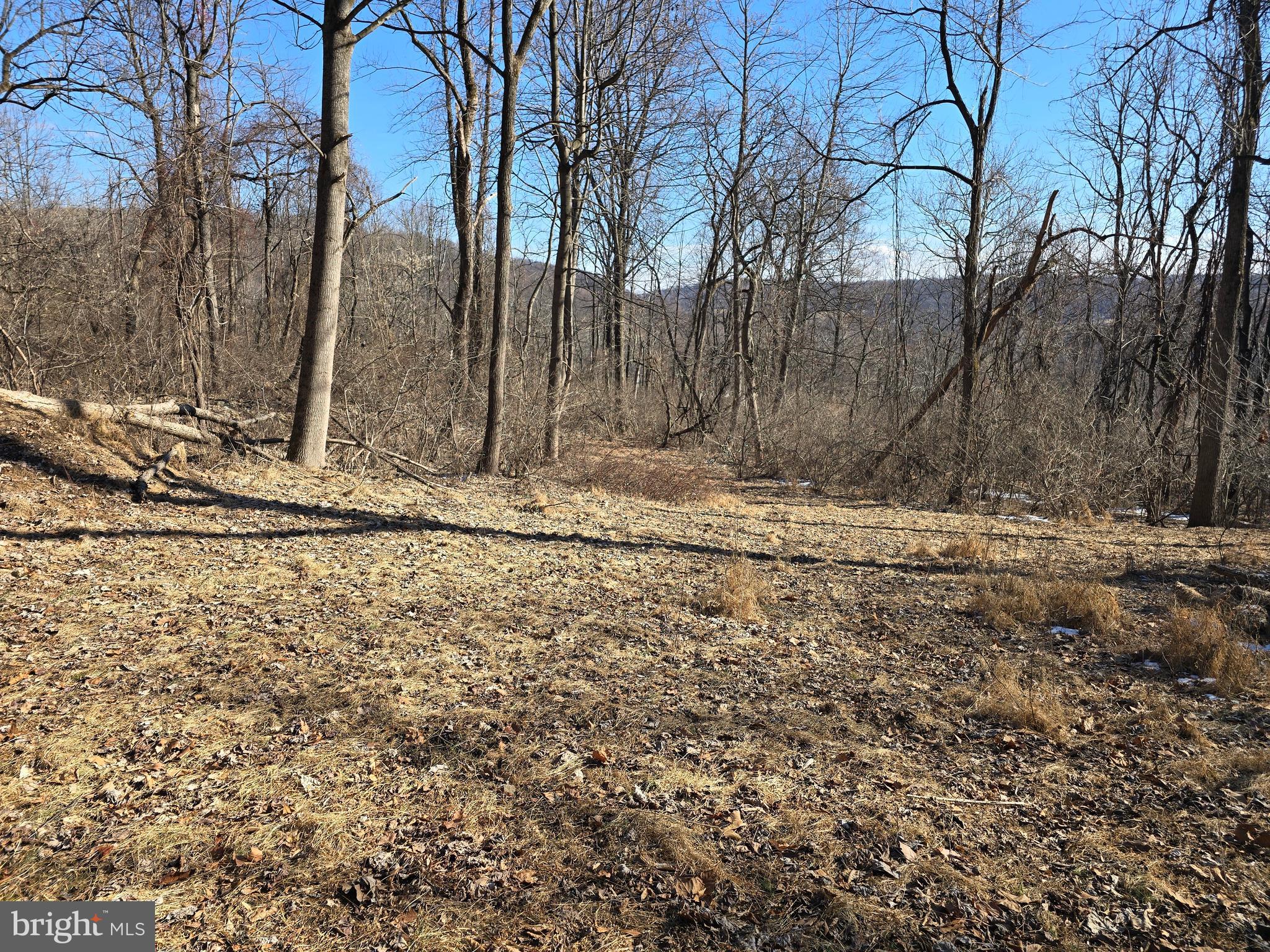 0 Hill Road Boyertown, PA 19512 - Photo 3 of 29 a view of a backyard of the house