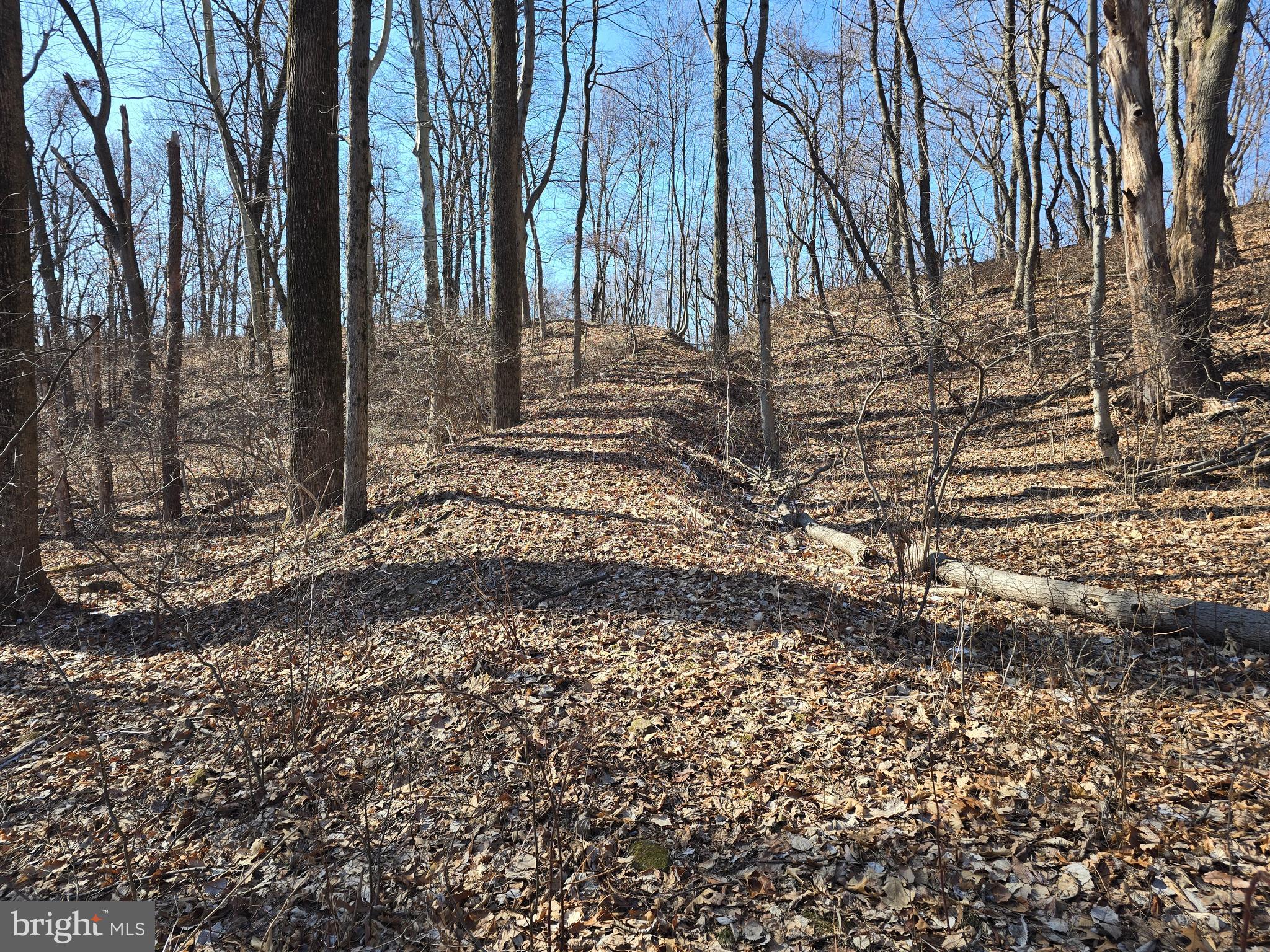 0 Hill Road Boyertown, PA 19512 - Photo 4 of 29 a backyard of a house with lots of green space