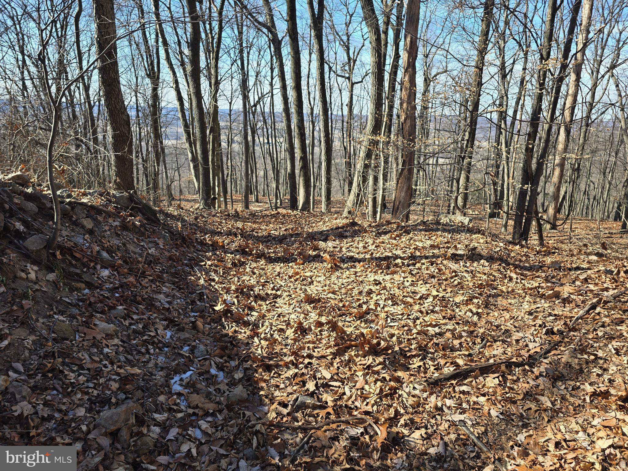 0 Hill Road Boyertown, PA 19512 - Photo 5 of 29 a view of a backyard with large trees