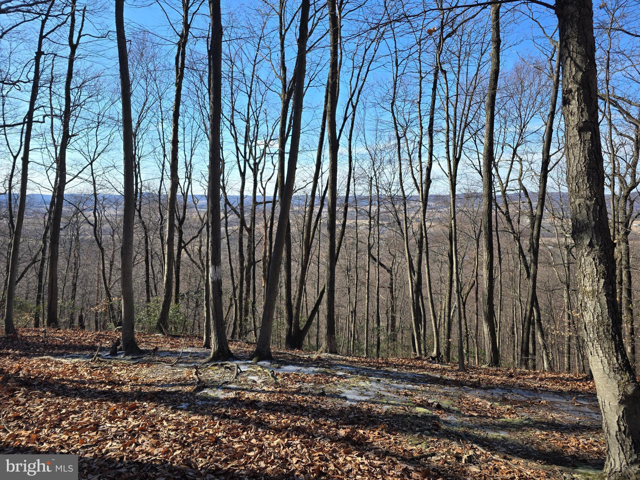 0 Hill Road Boyertown, PA 19512 - Photo 10 of 29 a view of a backyard of the house