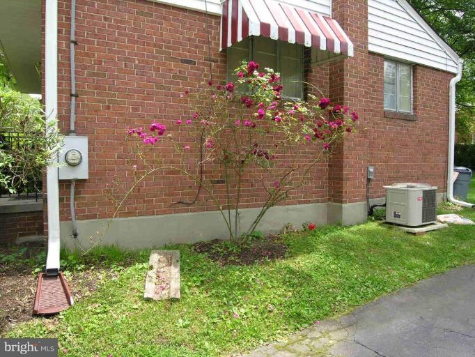 2912 Fenimore Road Silver Spring, MD 20902 - Photo 15 of 21 Garden