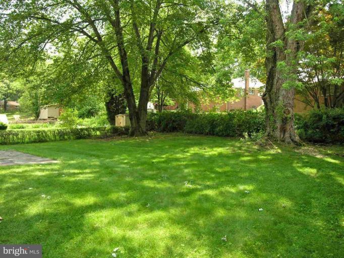 2912 Fenimore Road Silver Spring, MD 20902 - Photo 8 of 21 Back yard