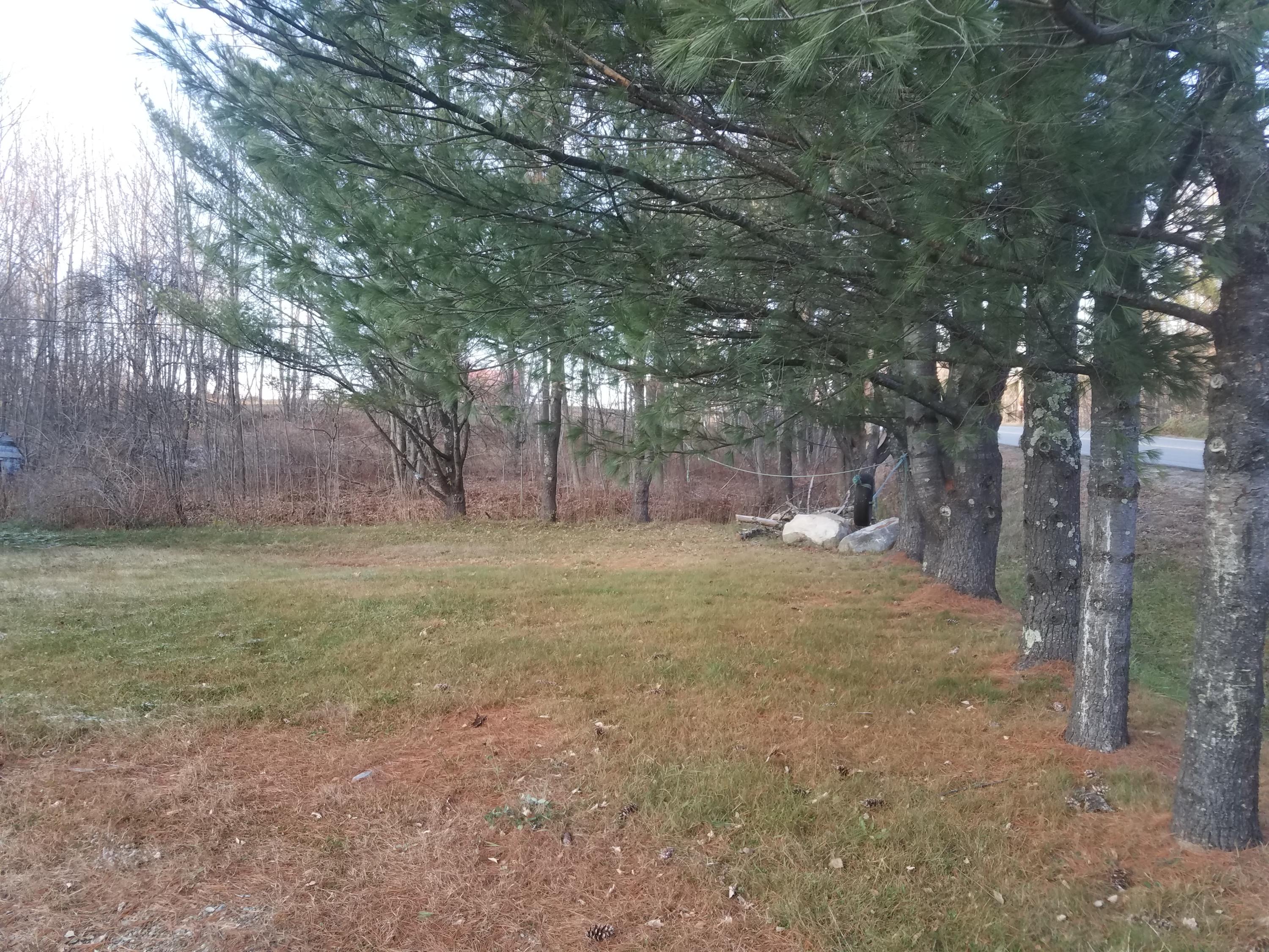 326 Franklin Road Jay, ME 04239 - Photo 44 of 48 20191108_155321