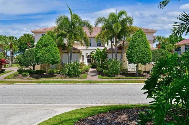 a view of a palm trees front of house
