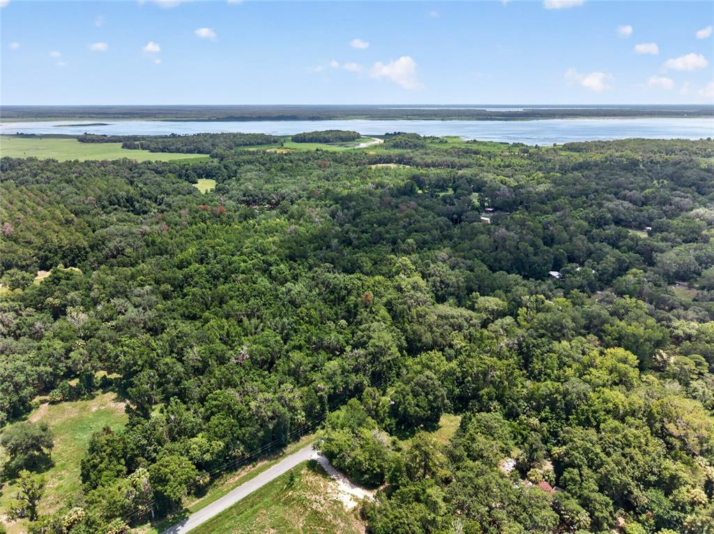 5725 Northwest 219th Street Road Micanopy, FL 32667 - Photo 4 of 17