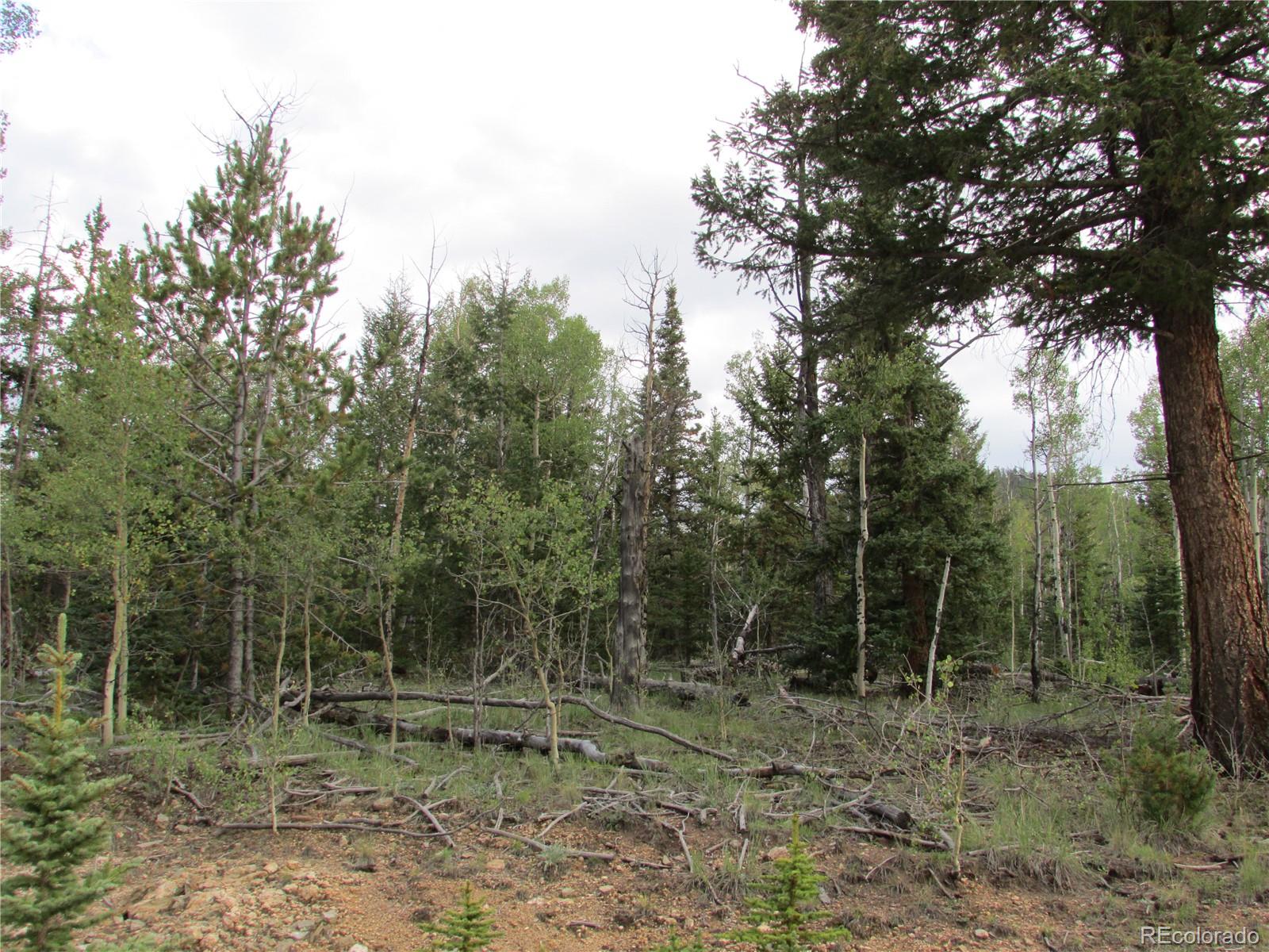 320 Nez Perce Road Como, CO 80456 - Photo 10 of 12 Gallery Image 10