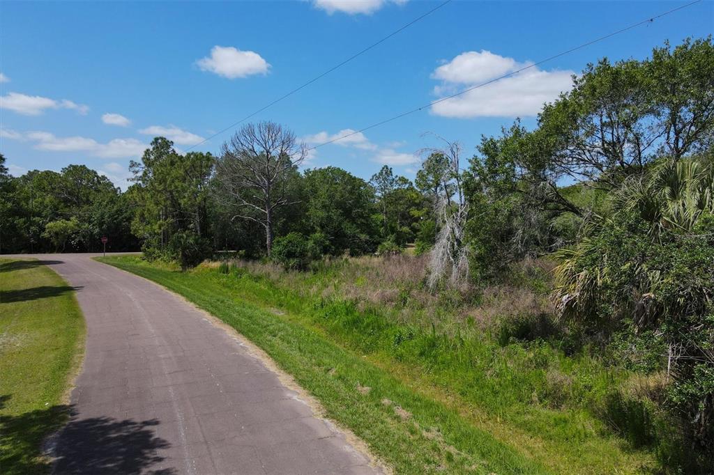 1729 Shenandoah Road Wimauma, FL 33598 - Photo 12 of 22