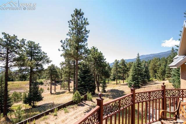8990 Old San Isabel Road Rye, CO 81069 - Photo 17 of 28