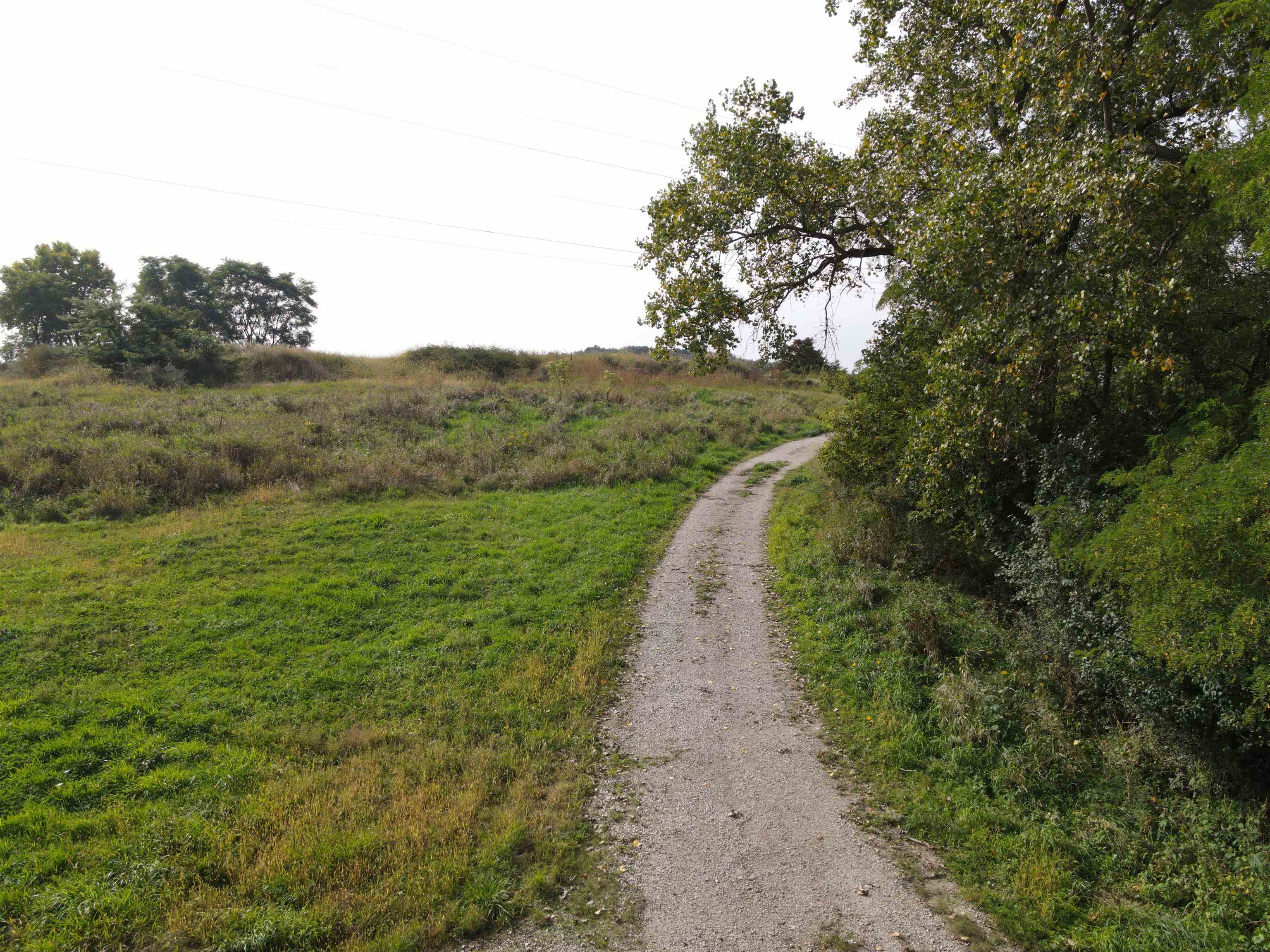 N3969 County O Markesan, WI 53946 - Photo 14 of 15