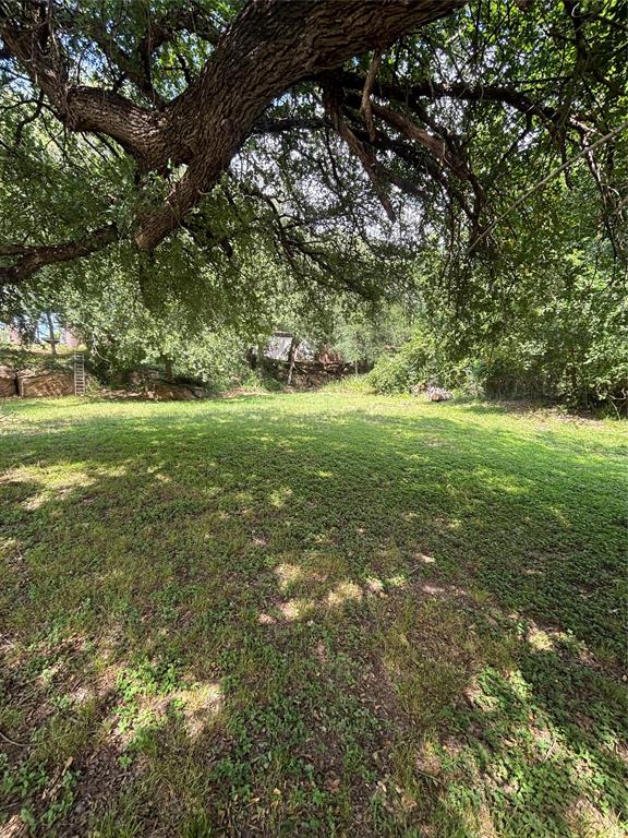 101 Riverview Road Millsap, TX 76066 - Photo 16 of 26 a view of yard with green space