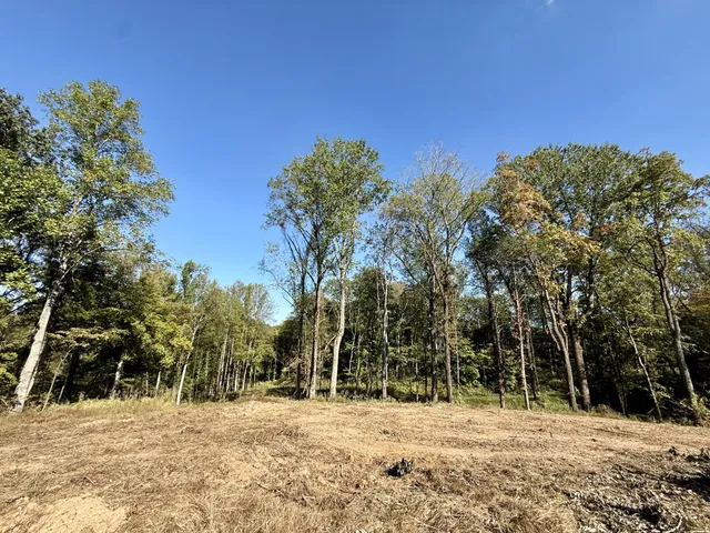 a view of a livingroom with furniture and a window