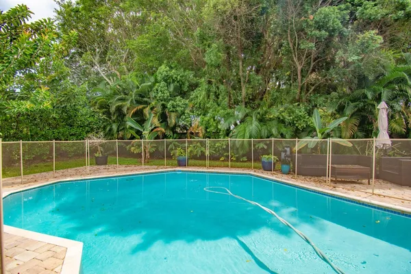 a view of backyard with a garden and plants