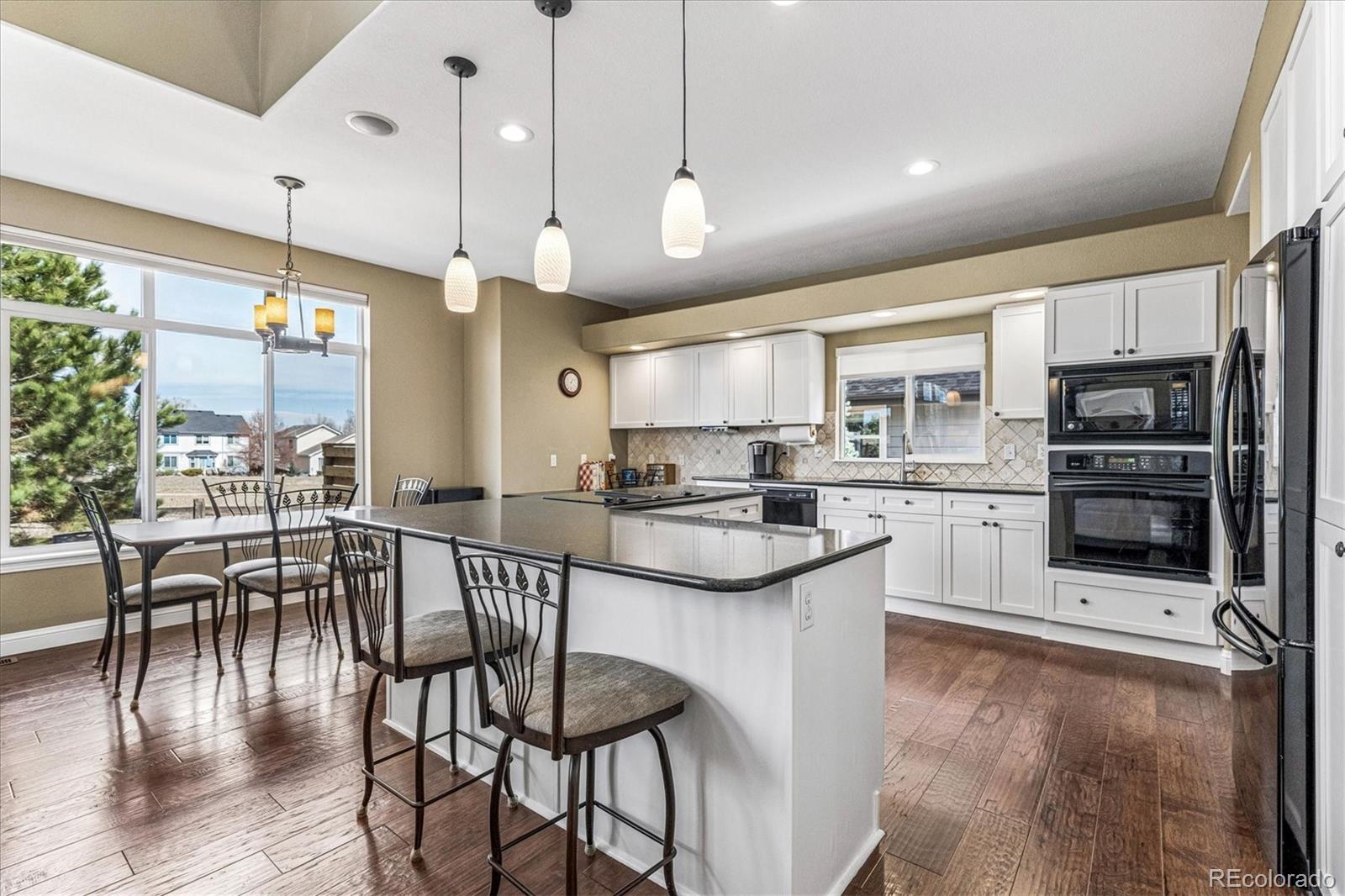 4597 Whitehall Lane Highlands Ranch, CO 80126 - Photo 14 of 50